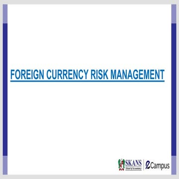 FX Risk Exposure, Measurement and Management.pdf