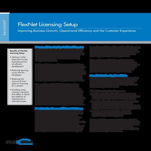 FlexNet Licensing Setup