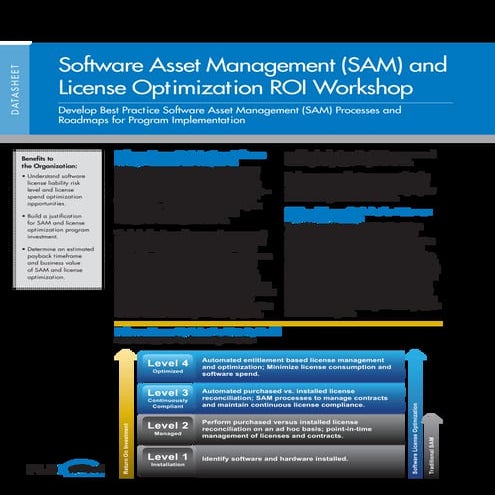 Software Asset Management (SAM) and License Optimization ROI Workshop