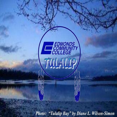 fy07_sh-16637-07_accident-injury-prev2.ppt