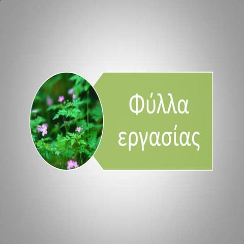 Φύλλα εργασίας Ιστορίας