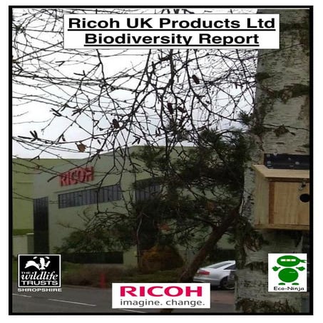 Rpl biodiversity report new word version 2015