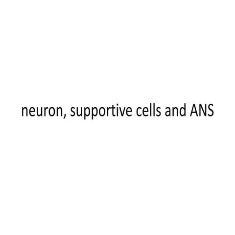 NEURON SUPPORTIVE CELLS OR ANS