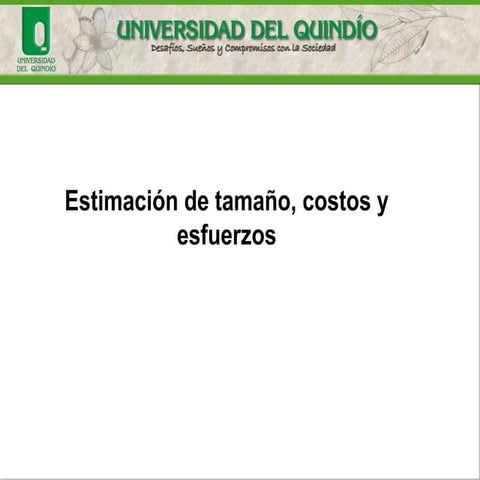 software estimation (in spanish)