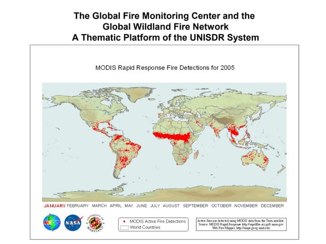  Monitoring Center and The Global Fire the  Global Wildland Fire Network A Thematic Platform of the UNISDR System by G. Goldammer