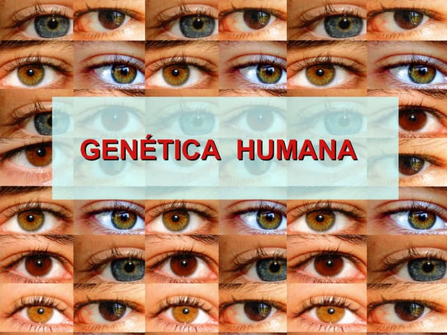 Genética Humana