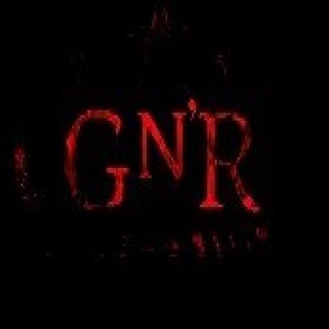 G N R | PPT