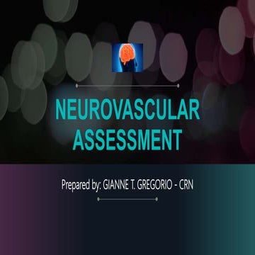 Neurovascular Assessment