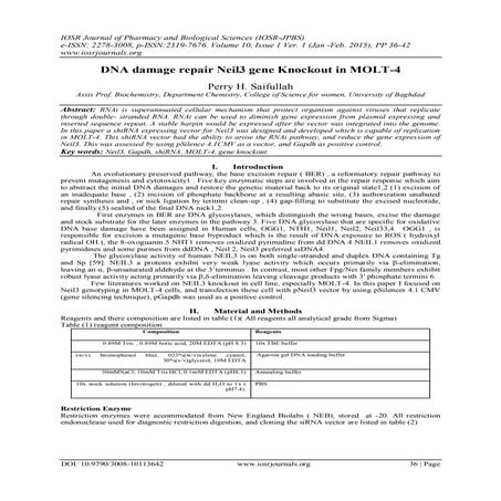 DNA damage repair Neil3 gene Knockout in MOLT-4