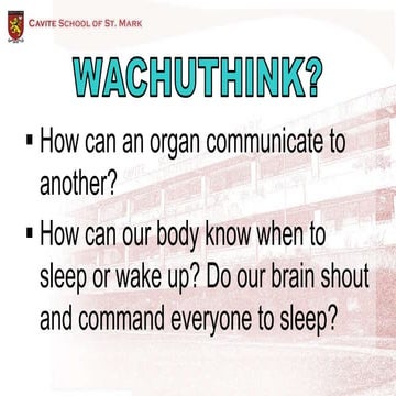 Endocrine System and Exocrine Glands