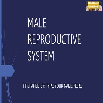 G10 Science Q3- Week 1- Male Reproductive System (1).pptx
