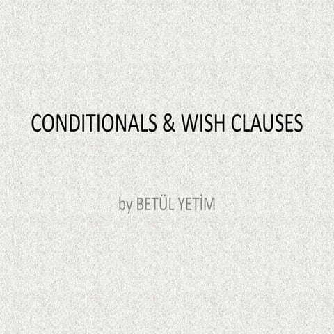 Conditionals & Wish Clauses