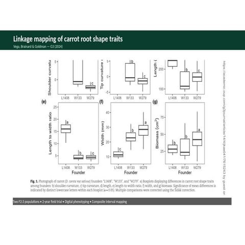 Linkage Mapping and Genetic Analysis of Carrot Root Shape Traits for ...