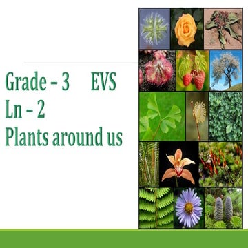 G3 EVS Ln - 2 Plants around us PPT - PDF.pdf