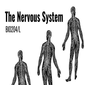 BIOLOGICAL SCIENCE 204 - THE NERVOUS SYSTEM