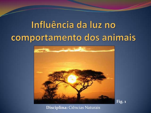 G5 influência da luz no comportame...