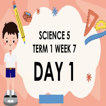 Grade 3 Mathematics: Introduction to Mass and Measurement Units | PPTX