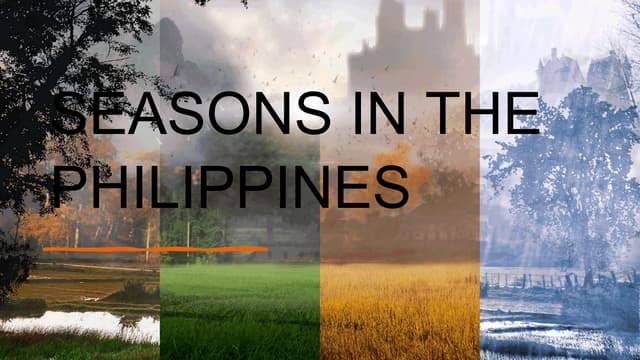 Weather patterns in the phillipines | PPTX