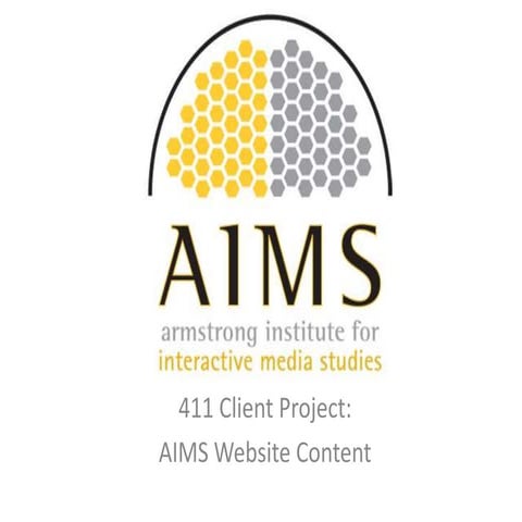 411 Client Project Information