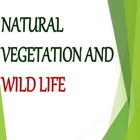Natural vegetation and wildlife   concept