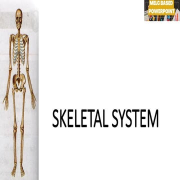 G6 Q2 WEEK 1-3 SKELETAL SYSTEM ( complete).pptx