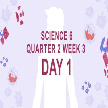 GRADE 6Q2 WEEK 3 SCIENCE. RESPIRATORY SYSTEM PPT