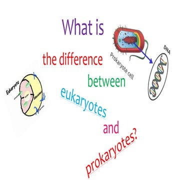 WPC Middle Grade 7 Science