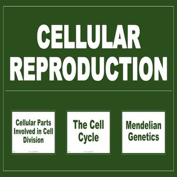 Cellular Reproduction (Grade 8, Quarter 4)