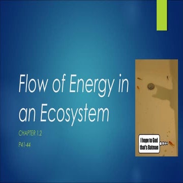 G9 ch2.2  energy in an ecosystem