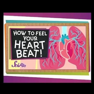 G9 SCIENCE LESSON 1-Human Body Systems - Respiratory and Circulatory ...
