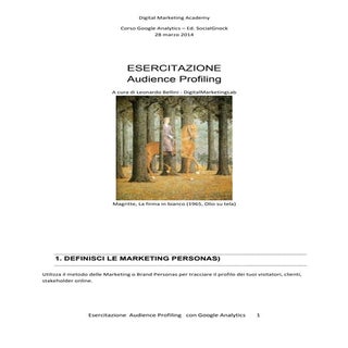 Audience Profiling con Google  Anal...