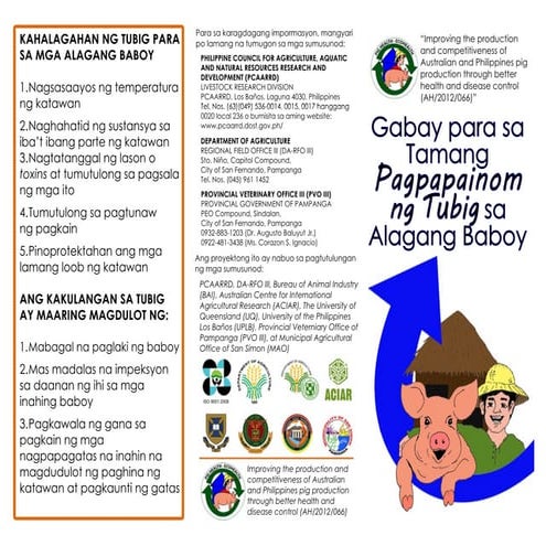 Gabay Para Sa Tamang Pagpapainom Ng Tubig Sa Alagang Baboy Pdf