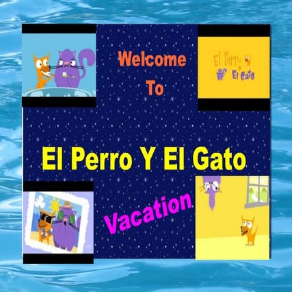 El perro y el gato -vacaciones