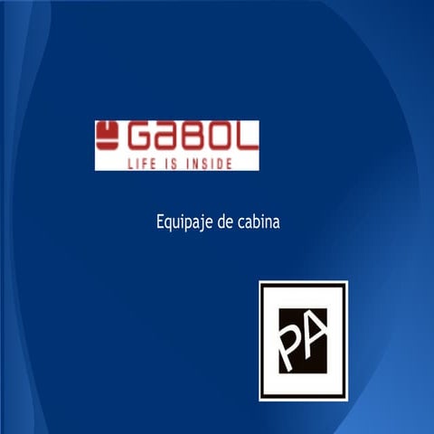 Gabol. equipaje de cabina