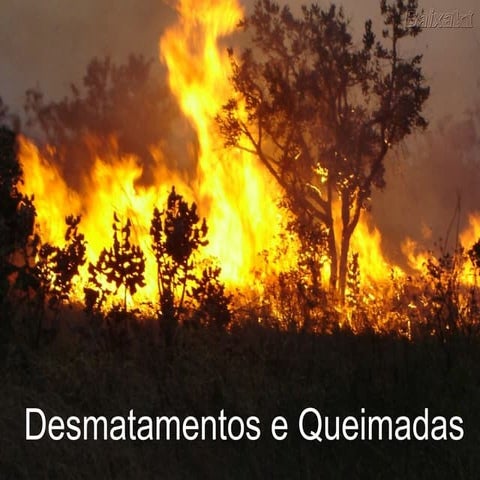 Desmatamentos e queimadas