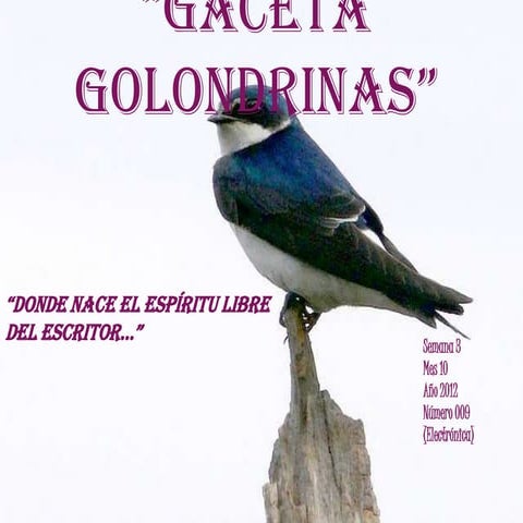 Gaceta golondrinas 009