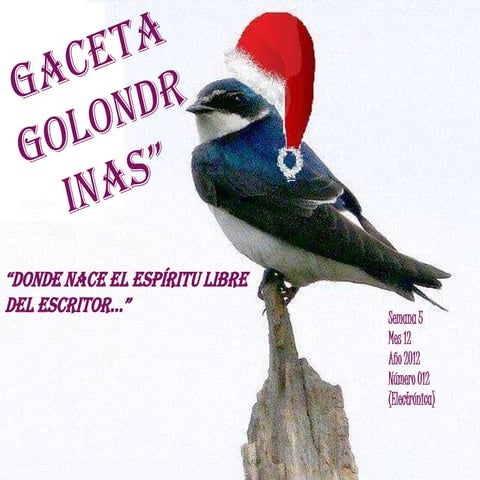 Gaceta golondrinas 012