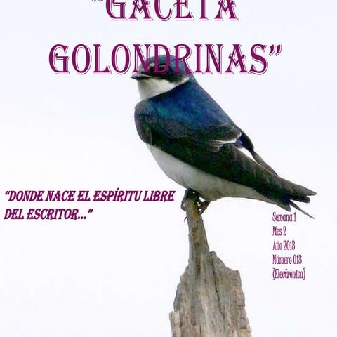 Gaceta golondrinas 013