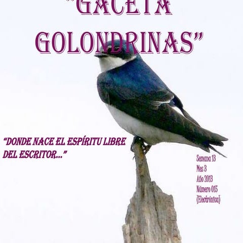 Gaceta golondrinas 015