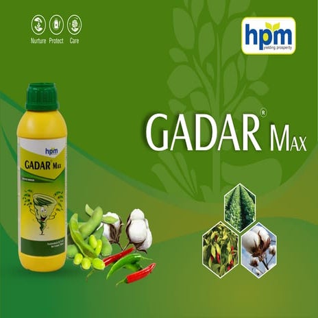 Gadar max