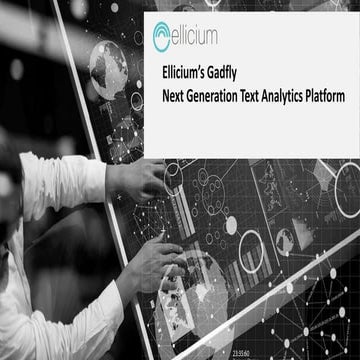 Ellicium's Gadfly - Next Generation Big Data Text Analytics Platform 