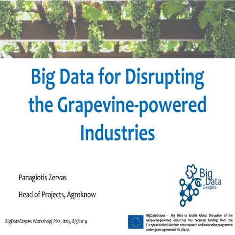 The BigDataGrapes vision enabling global disruption of the grapevine-powered ...