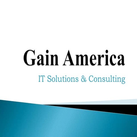 Gain America - IT Consulting 