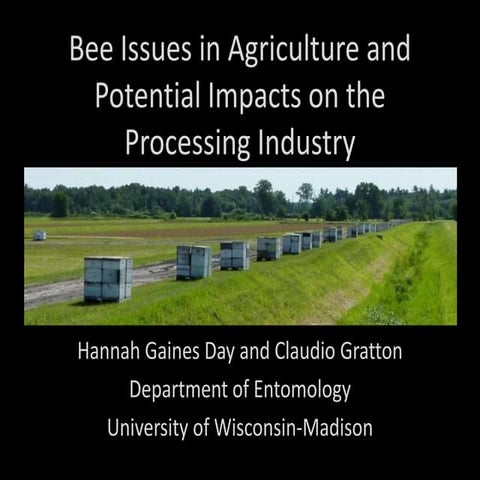Pesticides a threat to honey bees | PPTX