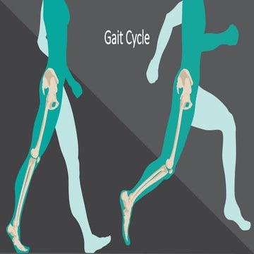 Gait Biomechanics and pathomechanics .pdf