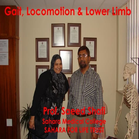 Review of Gait, Locomotion & Lower Limbs