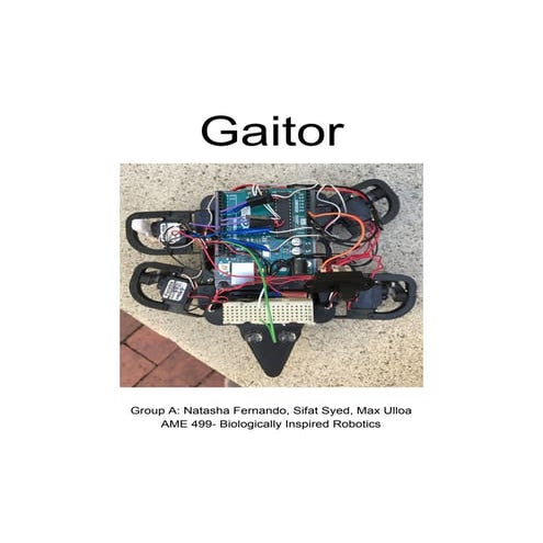 Gaitor final report