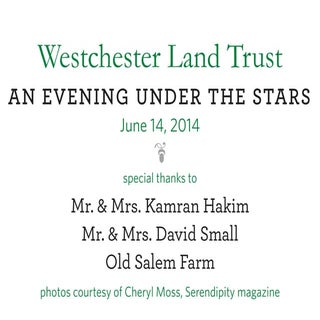 WLT - 2014 Benefit Pictures