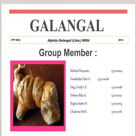 Galangal