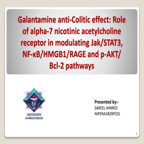 Galantamine Anti-Colitic Effect
